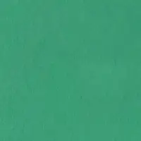 Spalock runt Ø 200 cm, polyesterväv, finns i 3 olika färger 4 Skogsgrönt spalock